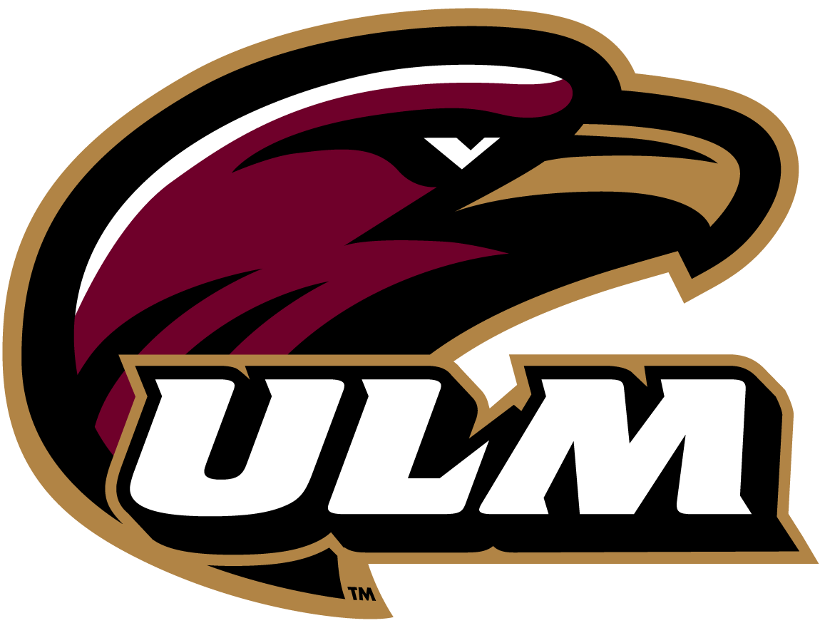 Louisiana-Monroe Warhawks 2015-2018 Primary Logo diy iron on heat transfer